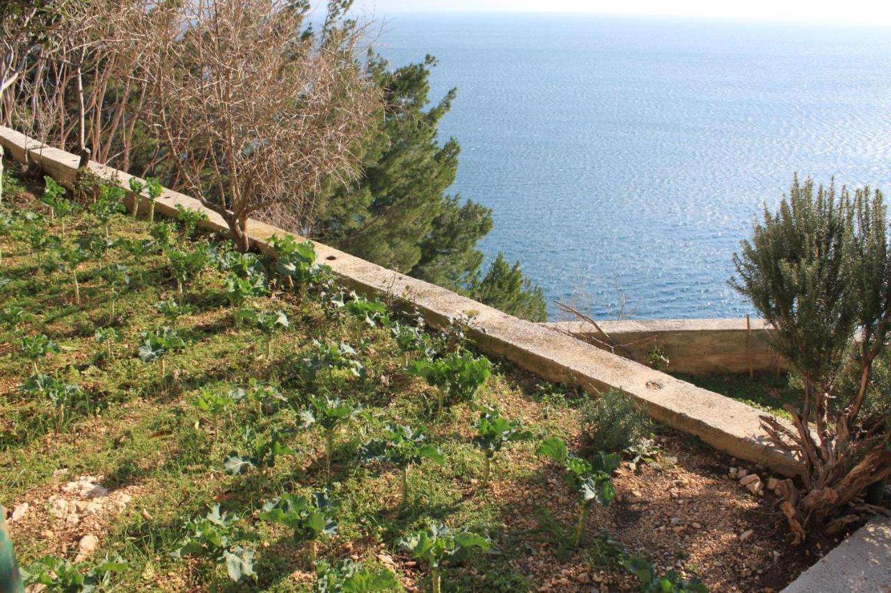 Apartments By The Sea Marusici, Omis - 8632 麦米科 外观 照片