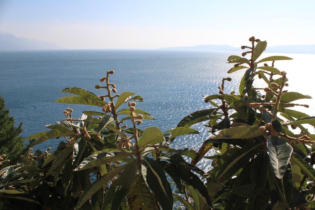 Apartments By The Sea Marusici, Omis - 8632 麦米科 外观 照片
